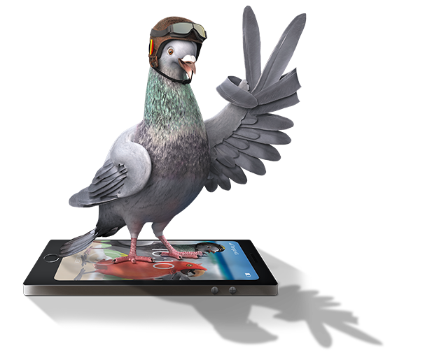 Avec Tango FreeBorders, communiquez sans vous faire plumer !